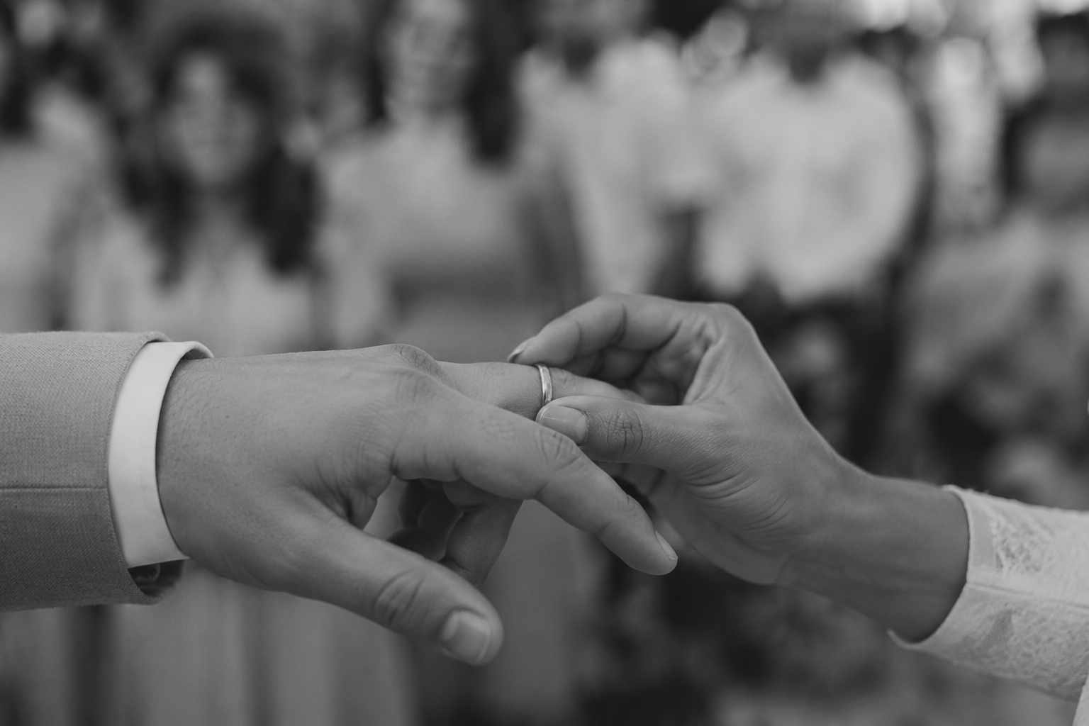 Alianças de casamento em uma composição cinematográfica